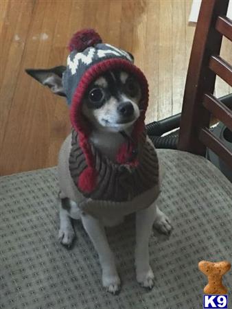 corbinbobber Picture 1